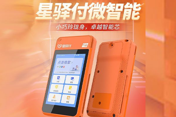 永登国通微电签POS机